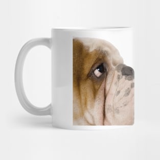 English Bulldogs Rule! Mug